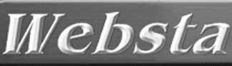 WE Websta logo325