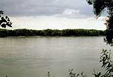Donau bei Mauthausen