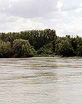 Donau bei Enns